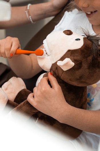 Pallas Dent – ordinace